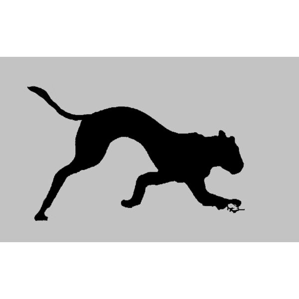 Uten navn   Kopi   Kopi  6  Thumbnail